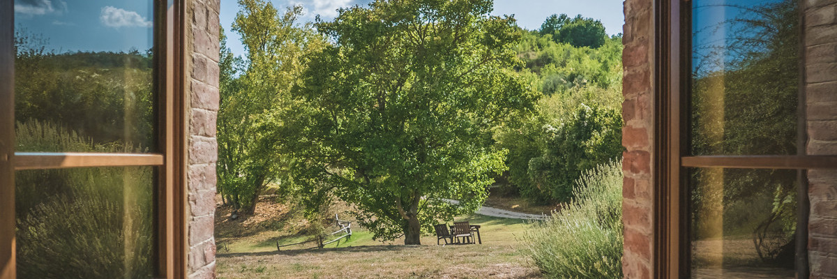 Техпаспорт на дачный дом1636960009