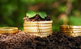 privatizatsiia-zemli