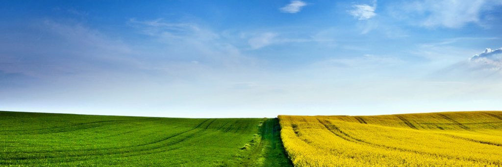 denezhnaia-otsenka-stoimosti-zemelnogo-uchastka