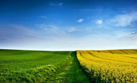 groshova-otsinka-vartosti-zemelnoyi-dilianki