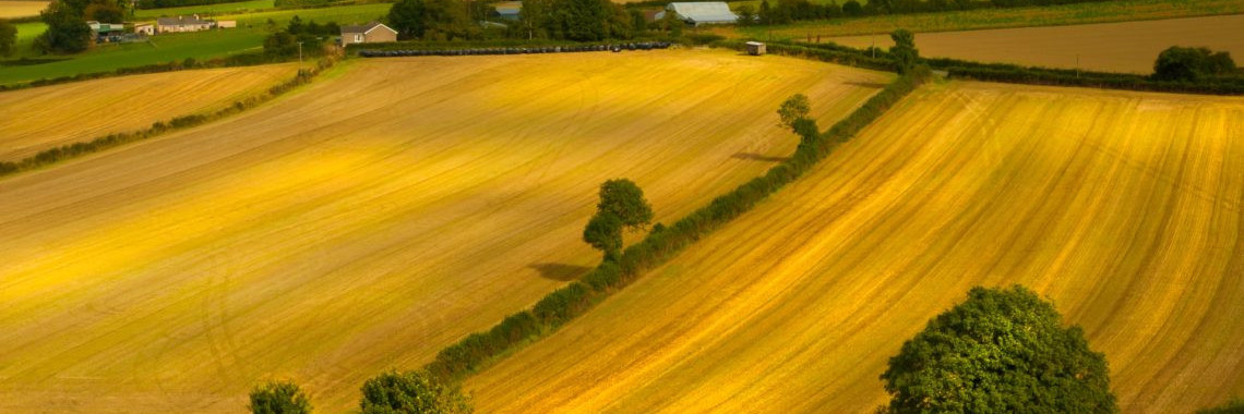 Земельный спор1606211336