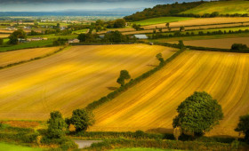 Земельный спор1606211336