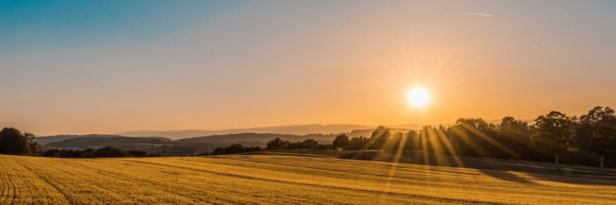 Як робиться проект на цільове призначення землі1630391995