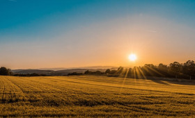 Як робиться проект на цільове призначення землі1630391995